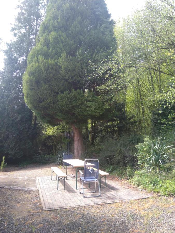 A L'Oree Du Bois Hamoir Zewnętrze zdjęcie